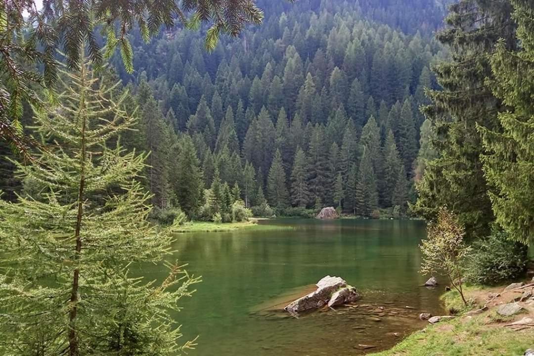 Sul Cucuzzolo Apartment Marilleva Bagian luar foto